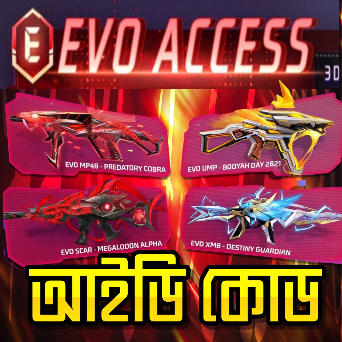 Evo Access